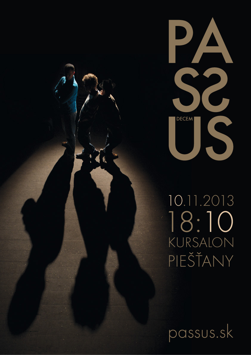 Koncert nov 2013